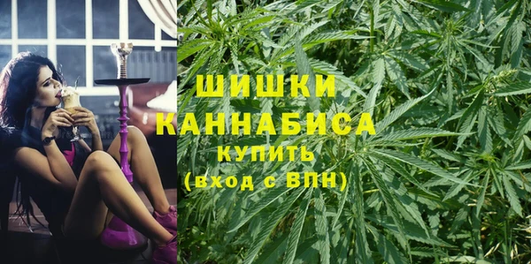 крисы Михайловск
